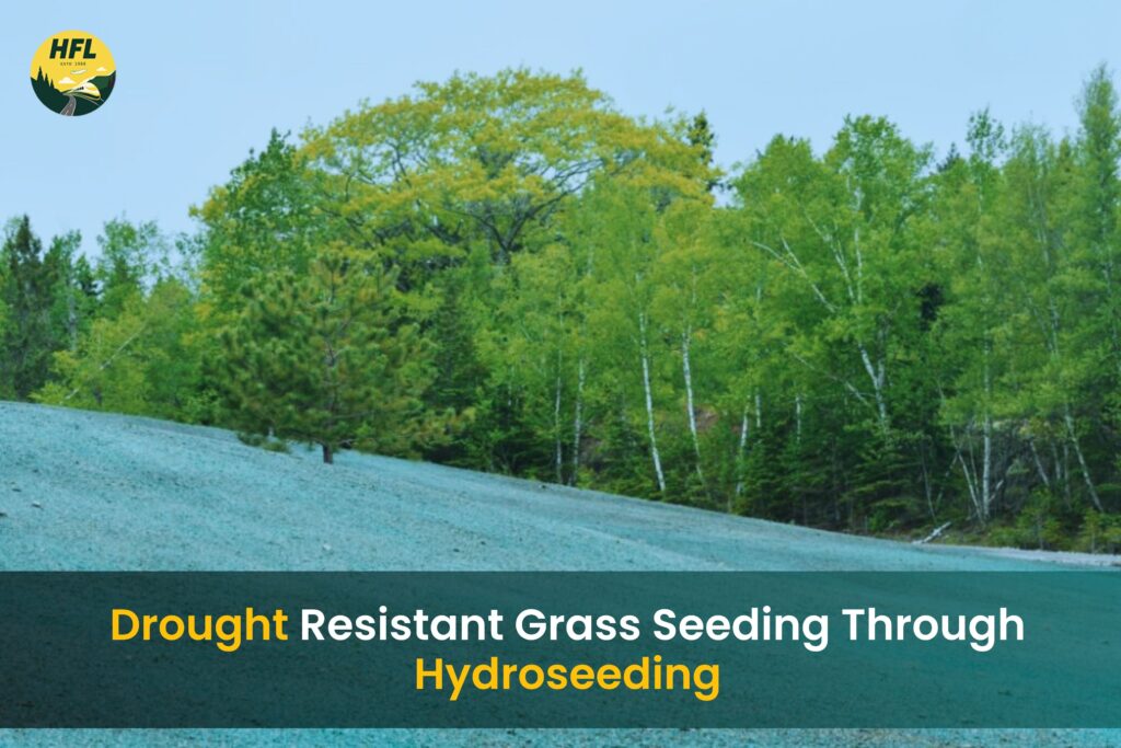 Climate Resilient Lawns