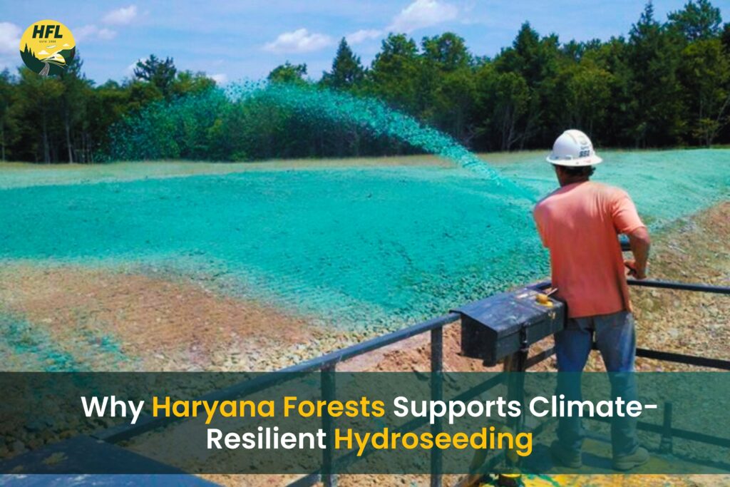 Climate Resilient Lawns