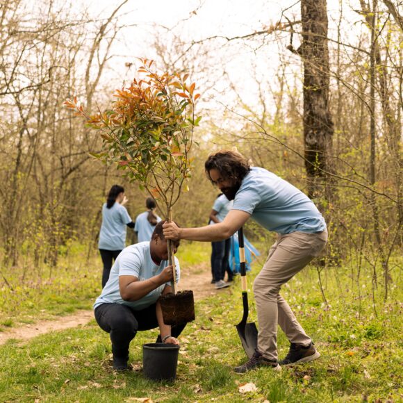 Small Steps, Big Impact for the Planet.