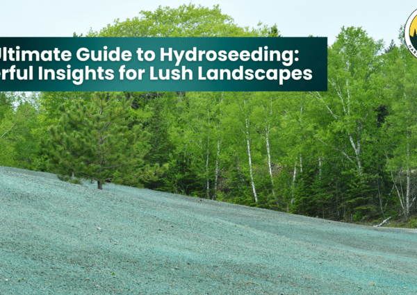The Ultimate Guide to Hydroseeding: Powerful Insights for Lush Landscapes