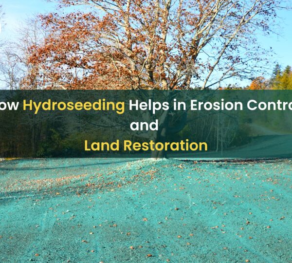 Erosion Control and Land Restoration