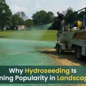 Hydroseeding vs Traditional Seeding