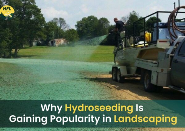 Hydroseeding vs Traditional Seeding: Which Is Better for Modern Landscaping?