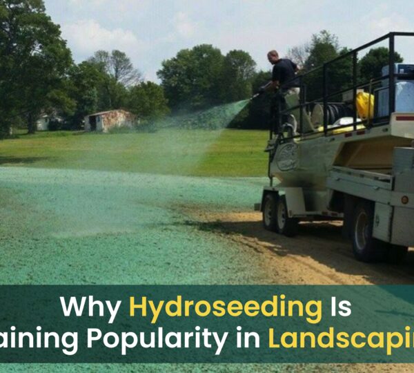 Hydroseeding vs Traditional Seeding