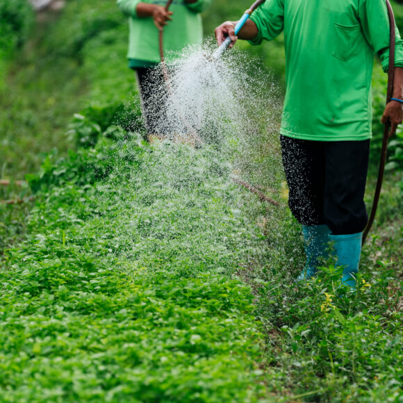 Small Steps, Big Impact for the Planet.