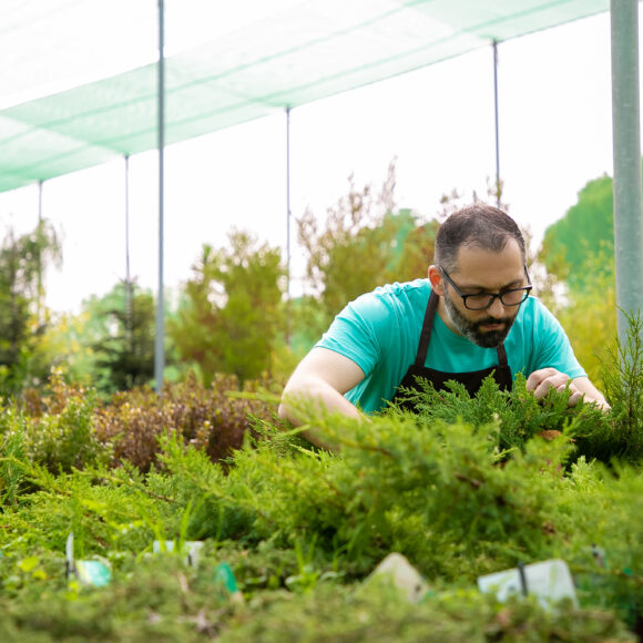 Save the Environment, Save Our Future