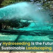 Sustainable Landscaping