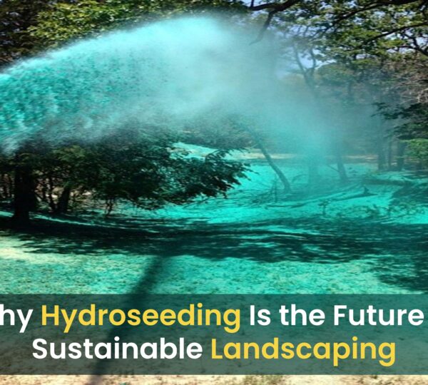 Sustainable Landscaping