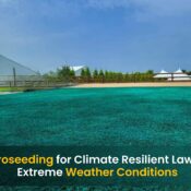 Climate Resilient Lawns