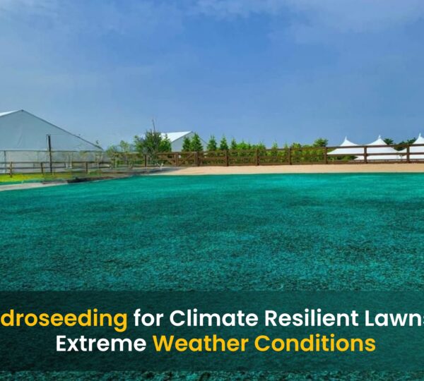 Climate Resilient Lawns