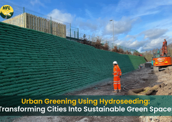 Urban Greening Using Hydroseeding: Transforming Cities Into Sustainable Green Spaces