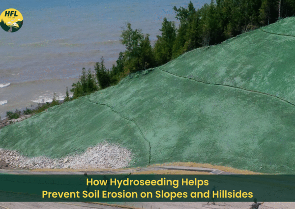 How Hydroseeding Helps Prevent Soil Erosion on Slopes and Hillsides
