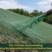 Eco-friendly hydroseeding using biodegradable mulch and native seeds for sustainable erosion control and vegetation growth