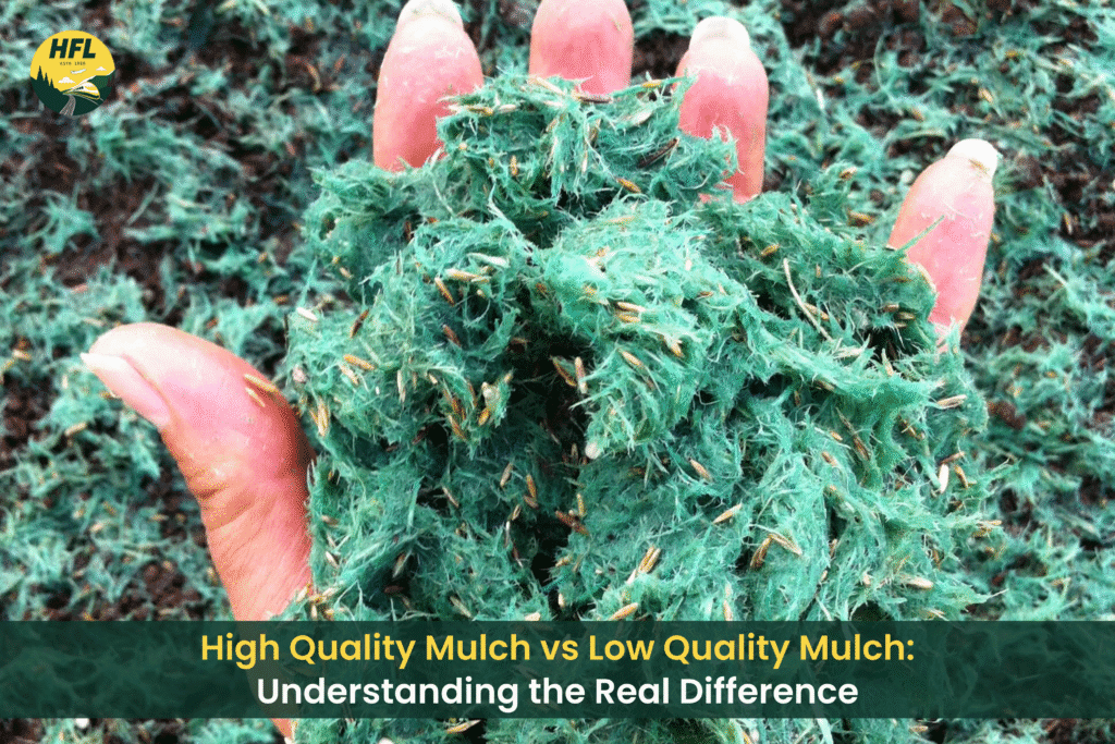 Hand holding high-quality hydro mulch showing dense fiber coverage and grass seed for effective erosion control.