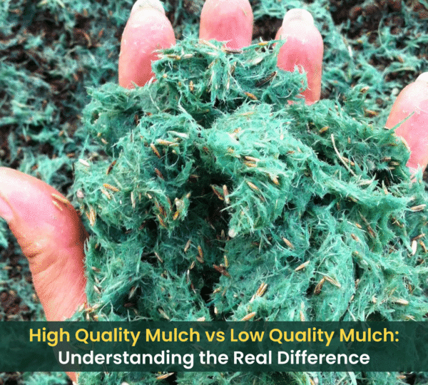 Hand holding high-quality hydro mulch showing dense fiber coverage and grass seed for effective erosion control.